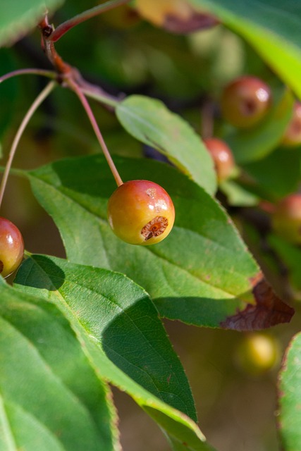 成为现场最 成为现场最