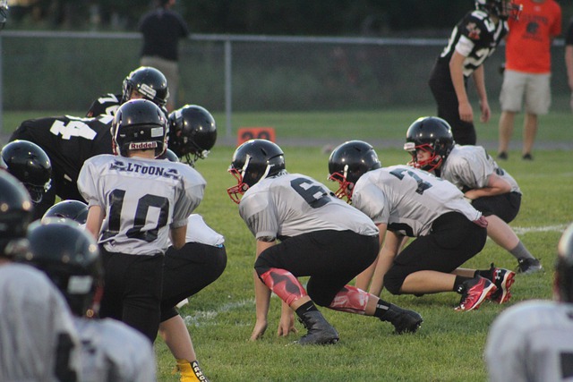 湖人的教练 湖人的教练