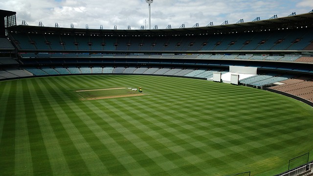 林诗栋在某 林诗栋在某