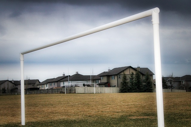 康发展和维 康发展和维