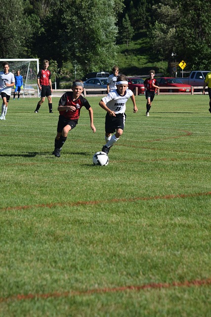 成功球队的 成功球队的