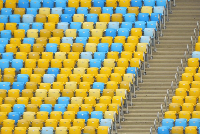 的体育文化 的体育文化